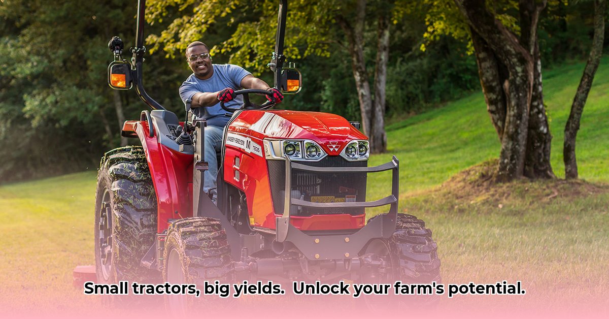 small-mf-tractors